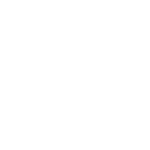 bio-ico-2
