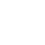 bio-ico-6